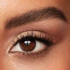 Charlotte Tilbury Bigger Brighter Eyes Filter Exaggereyes -Christophe Robin Shop p 550x550 1377