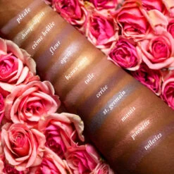 Paris EDIT Eye Shadow Palette 16 Paris EDIT Eye Shadow Palette -Christophe Robin Shop p 550x550 1462