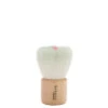 Innovative Series F005 Powder/Blush Brush - Green -Christophe Robin Shop p 550x550 1953
