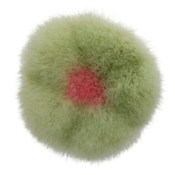 Innovative Series F005 Powder/Blush Brush - Green -Christophe Robin Shop p 550x550 1955