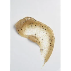 Refining Scalp & Body Scrub -Christophe Robin Shop p 550x550 325