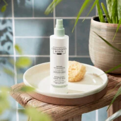 Christophe Robin Hydrating Leave-In Mist With Aloe Vera -Christophe Robin Shop p 550x550 666