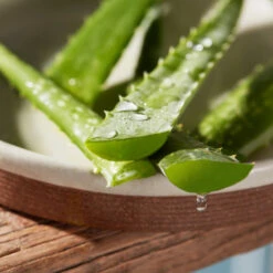 Christophe Robin Hydrating Leave-In Mist With Aloe Vera -Christophe Robin Shop p 550x550 667