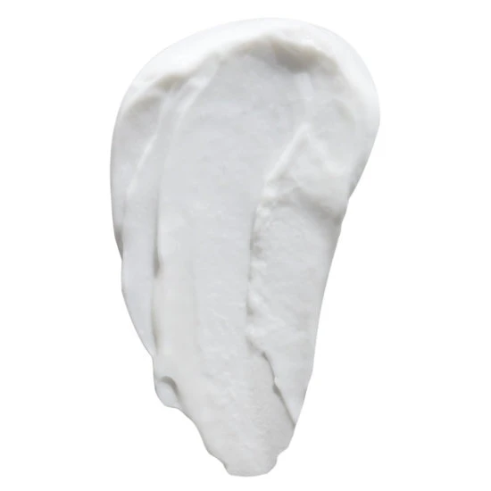 Christophe Robin Hydrating Leave-In Cream With Aloe Vera 4 Christophe Robin Hydrating Leave-In Cream With Aloe Vera - Image 2